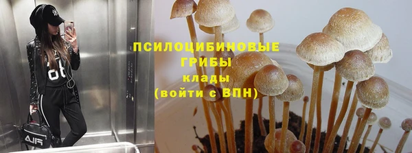 дживик Арсеньев
