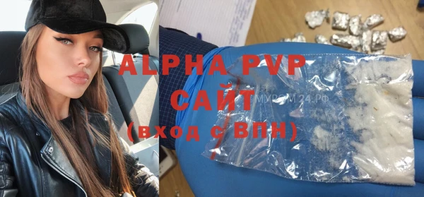дживик Арсеньев