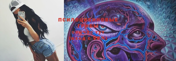 дживик Арсеньев