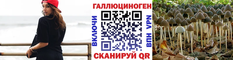 Галлюциногенные грибы прущие грибы Нюрба