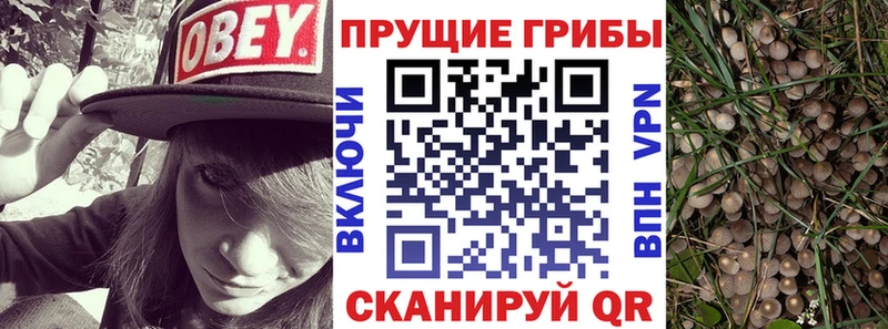 сколько стоит  Нюрба  ОМГ ОМГ ССЫЛКА  сайты даркнета как зайти  Галлюциногенные грибы Magic Shrooms 